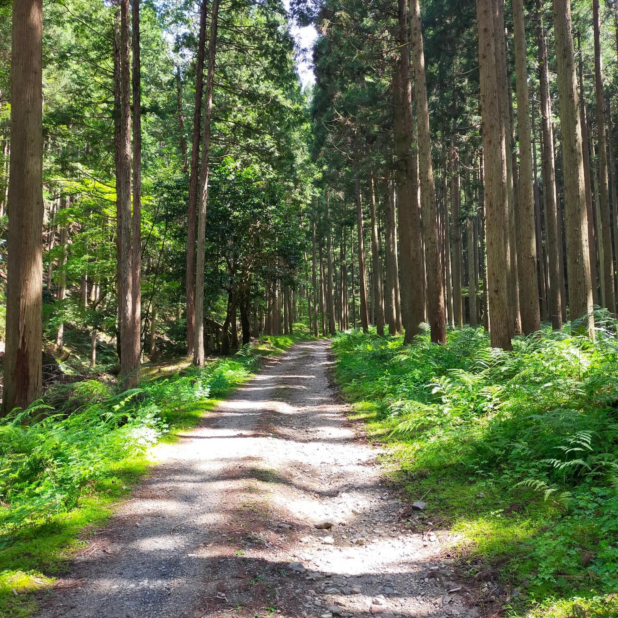 里山ゲストハウス　クチュール 綾部市 エクステリア 写真