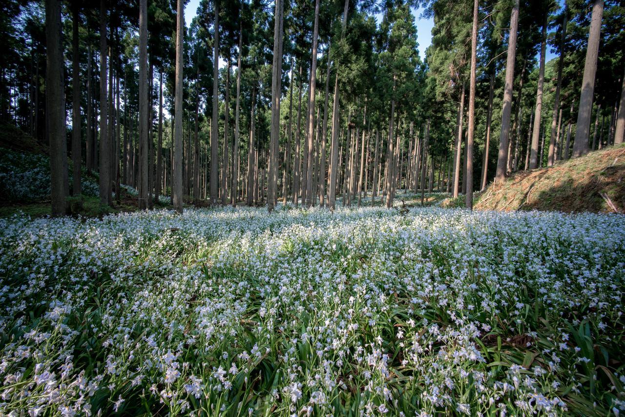 里山ゲストハウス　クチュール 綾部市 エクステリア 写真