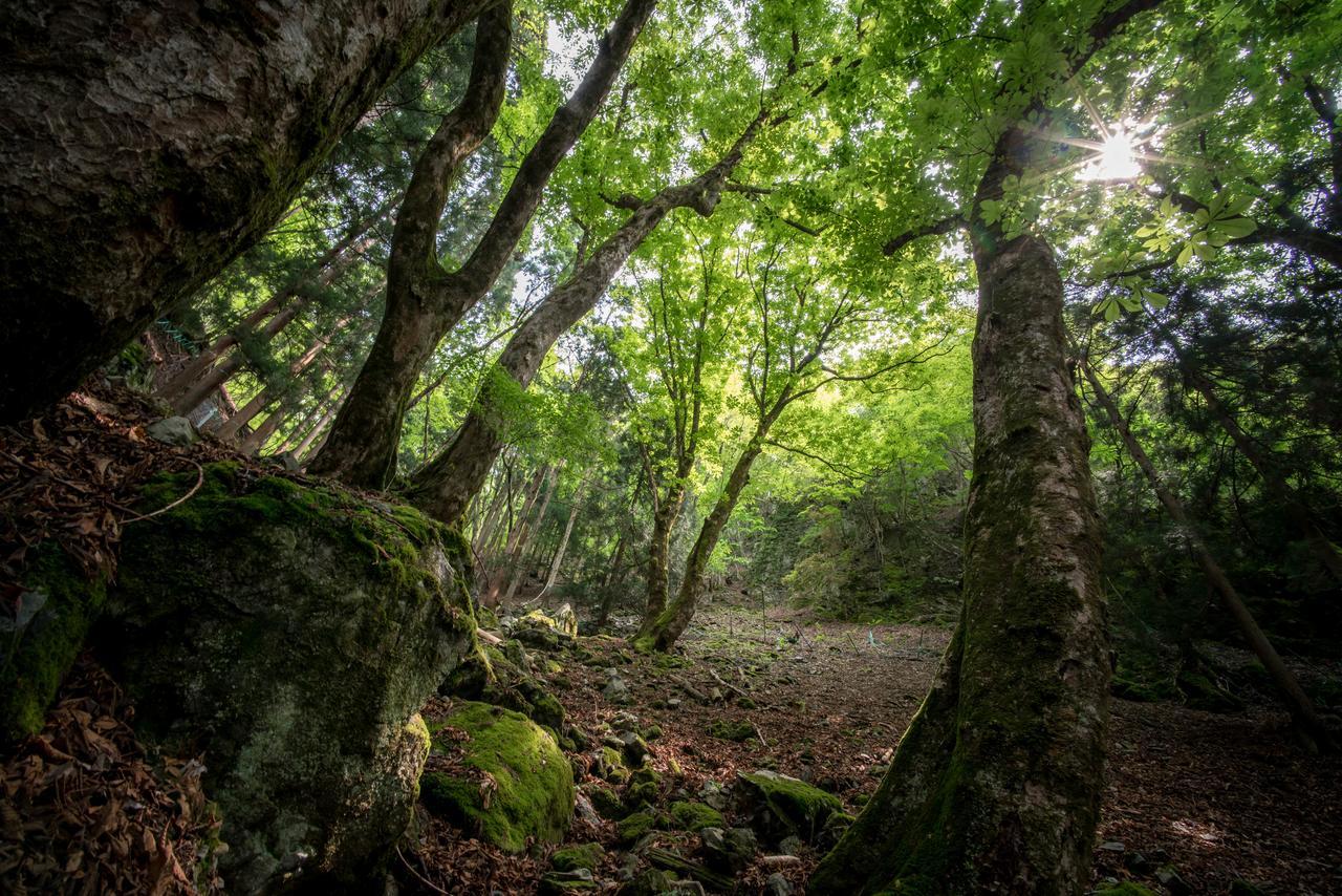 里山ゲストハウス　クチュール 綾部市 エクステリア 写真